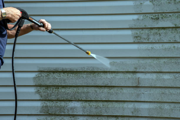 Best Rust Removal  in Walkersville, MD